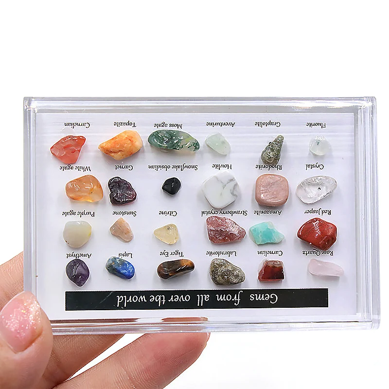 Natural Amethysts Rose Quartzs Crystal Mineral Specimen Healing Stone Smooth Ore Seven Chakra Therapy Stone Collection Box
Natural Amethysts Rose Quartzs Crystal Mineral Specimen Healing Stone Smooth Ore Seven Chakra Therapy Stone Collection Box
