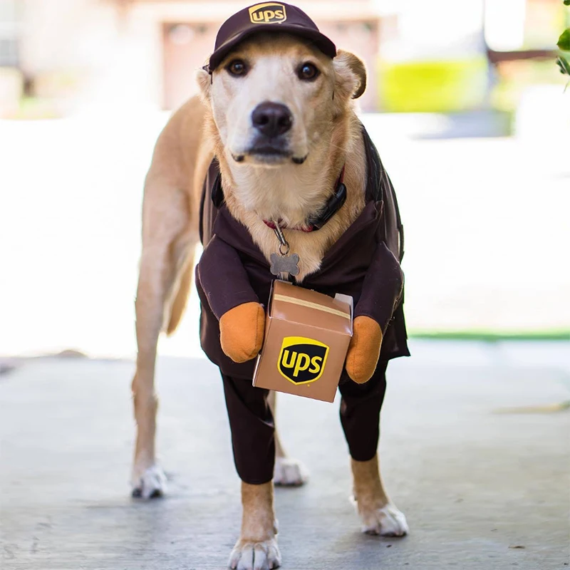 Dog Funny Clothes Costume pet Courier Fancy Dress Up Party Dog GIft Pet Xmas Decoration UPS Courier Dressing Perform Clothes
Dog Funny Clothes Costume pet Courier Fancy Dress Up Party Dog GIft Pet Xmas Decoration UPS Courier Dressing Perform Clothes