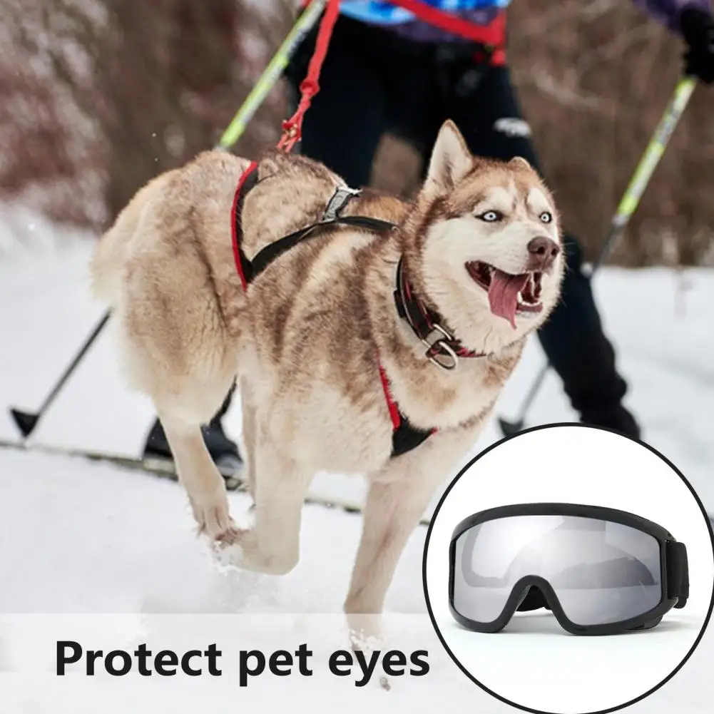 

Durable Dog Sunglasses Dog Glasses for Car Rides Protective Pet Eyewear Waterproof Windproof Dog Goggles with for Eco-friendly