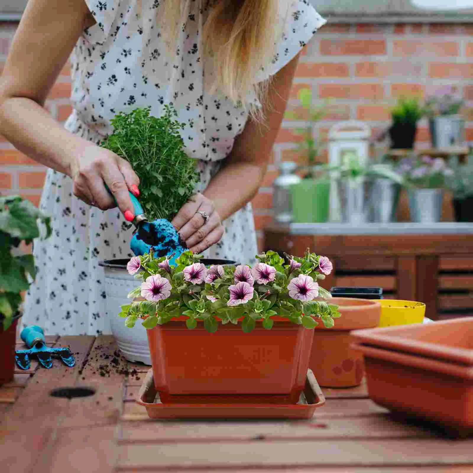2 Sets Square Vegetable Bowl Book Shelf Decor Plastic Flower Pot Planter Household Pots Flowerpot
2 Sets Square Vegetable Bowl Book Shelf Decor Plastic Flower Pot Planter Household Pots Flowerpot