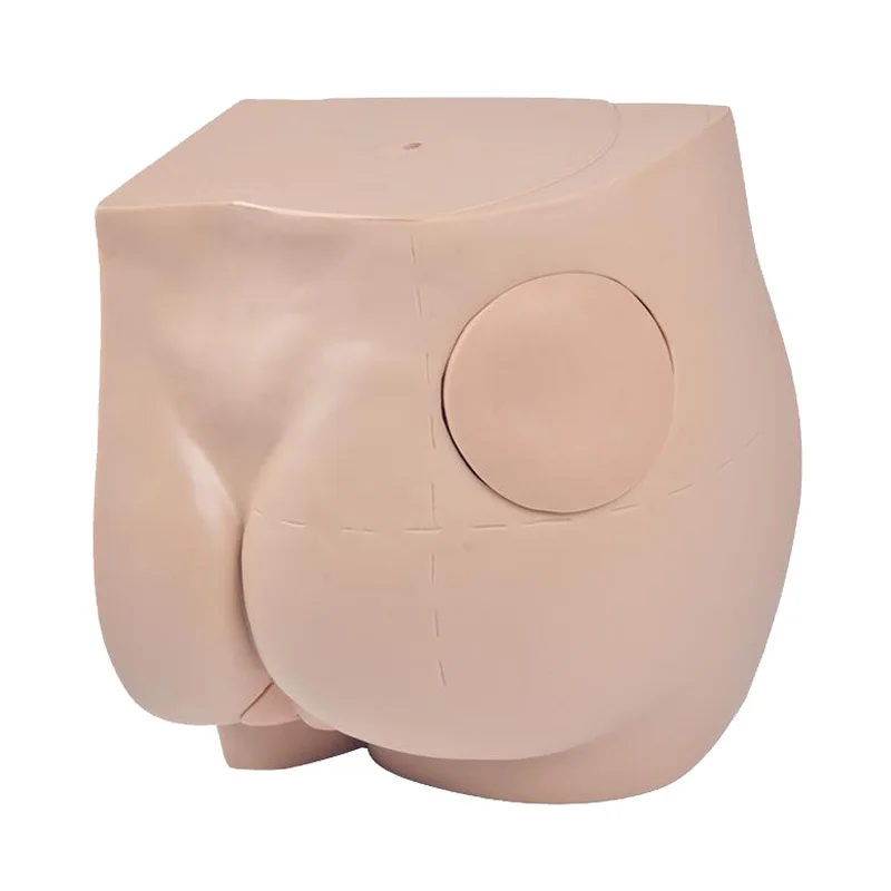 Human Hip Intramuscular Injection Simulator Anatomy Model Medical Teaching Resources Drop Shipping
Human Hip Intramuscular Injection Simulator Anatomy Model Medical Teaching Resources Drop Shipping