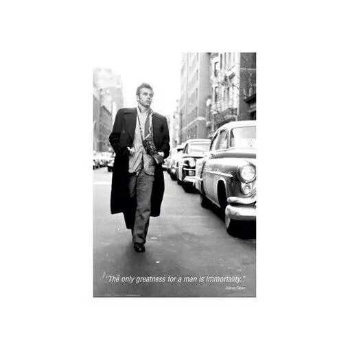 Новый постер имиджа Дина 24x36
Новый постер имиджа Дина 24x36