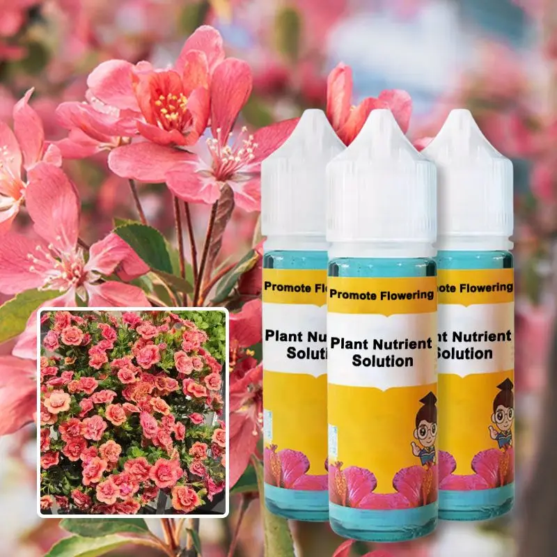 Rapid Flower-promoting Nutrient Solution Flower Foliar Fertilizer Improve Growth Soil Ingredient Safety Nutrition Promote Flower
Rapid Flower-promoting Nutrient Solution Flower Foliar Fertilizer Improve Growth Soil Ingredient Safety Nutrition Promote Flower