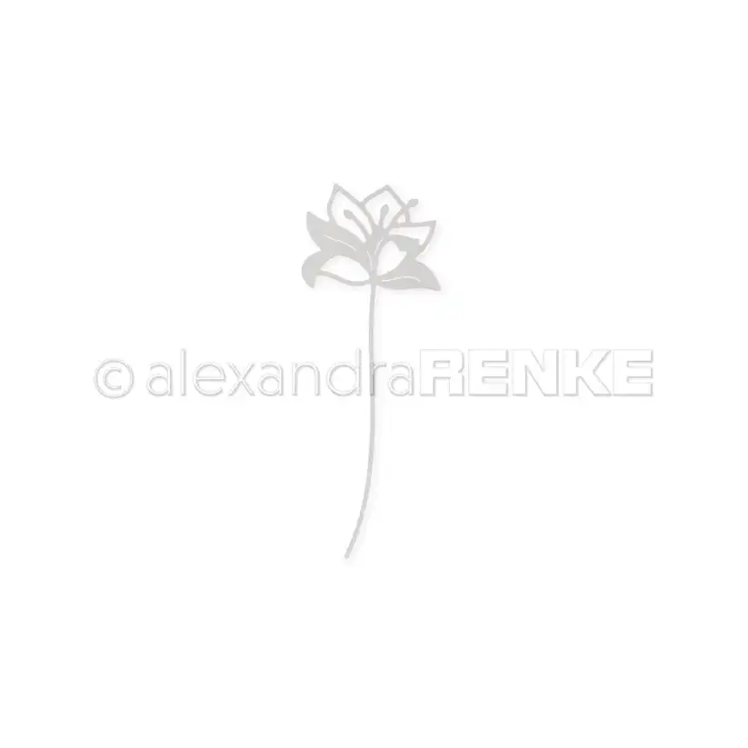 Flowers 2024 New Metal Cutting Dies For DIY Decorating Template Scrapbook Paper Card Album Embossing Craft New Arrival 2024
Flowers 2024 New Metal Cutting Dies For DIY Decorating Template Scrapbook Paper Card Album Embossing Craft New Arrival 2024
