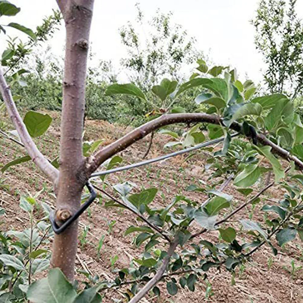 Branches Bending Branch Spreader Garden Yard And Orchard High Quality Reusable Stainless Steel Easy To Install
Branches Bending Branch Spreader Garden Yard And Orchard High Quality Reusable Stainless Steel Easy To Install