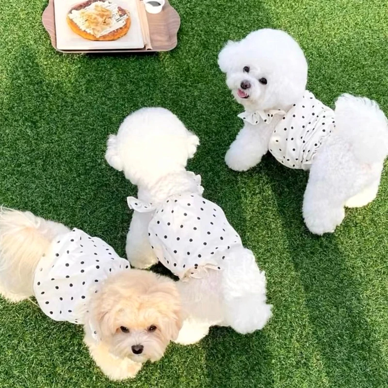 Cute Polka Dot Pet Dress Puppy Princess Pumpkin Skirt Teddy Cat Summer Canine Bichon Soft Clothes Dog Products
Cute Polka Dot Pet Dress Puppy Princess Pumpkin Skirt Teddy Cat Summer Canine Bichon Soft Clothes Dog Products