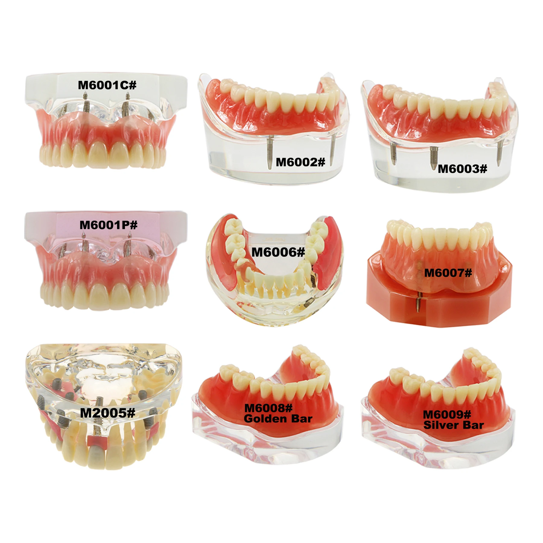 Dental Implant Teeth Model Typodont Overdenture 2 3 4 Implants Upper Superior Lower Inferior Restoration Demo For Study Teach
Dental Implant Teeth Model Typodont Overdenture 2 3 4 Implants Upper Superior Lower Inferior Restoration Demo For Study Teach