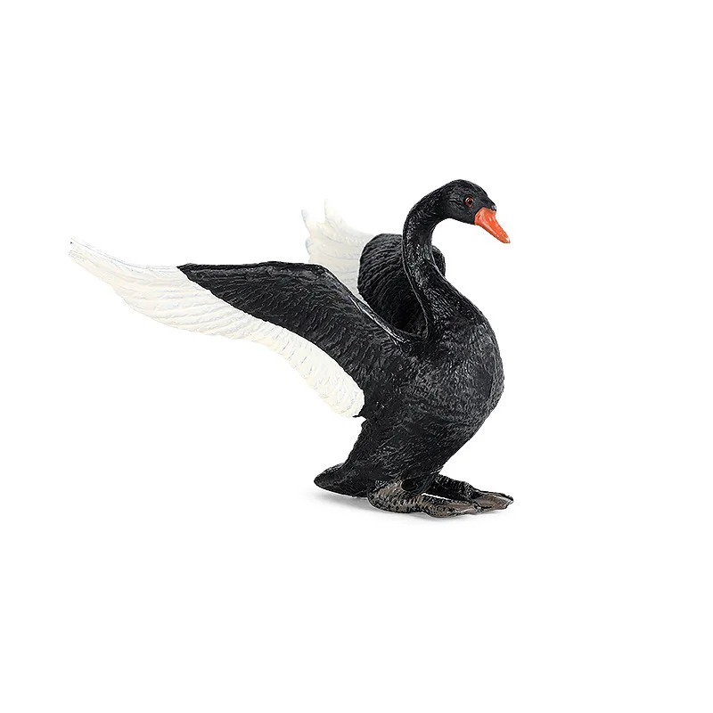

Simulation animal model solid poultry ranch goose Black Swan White Swan children's toy scene decoration hand-made