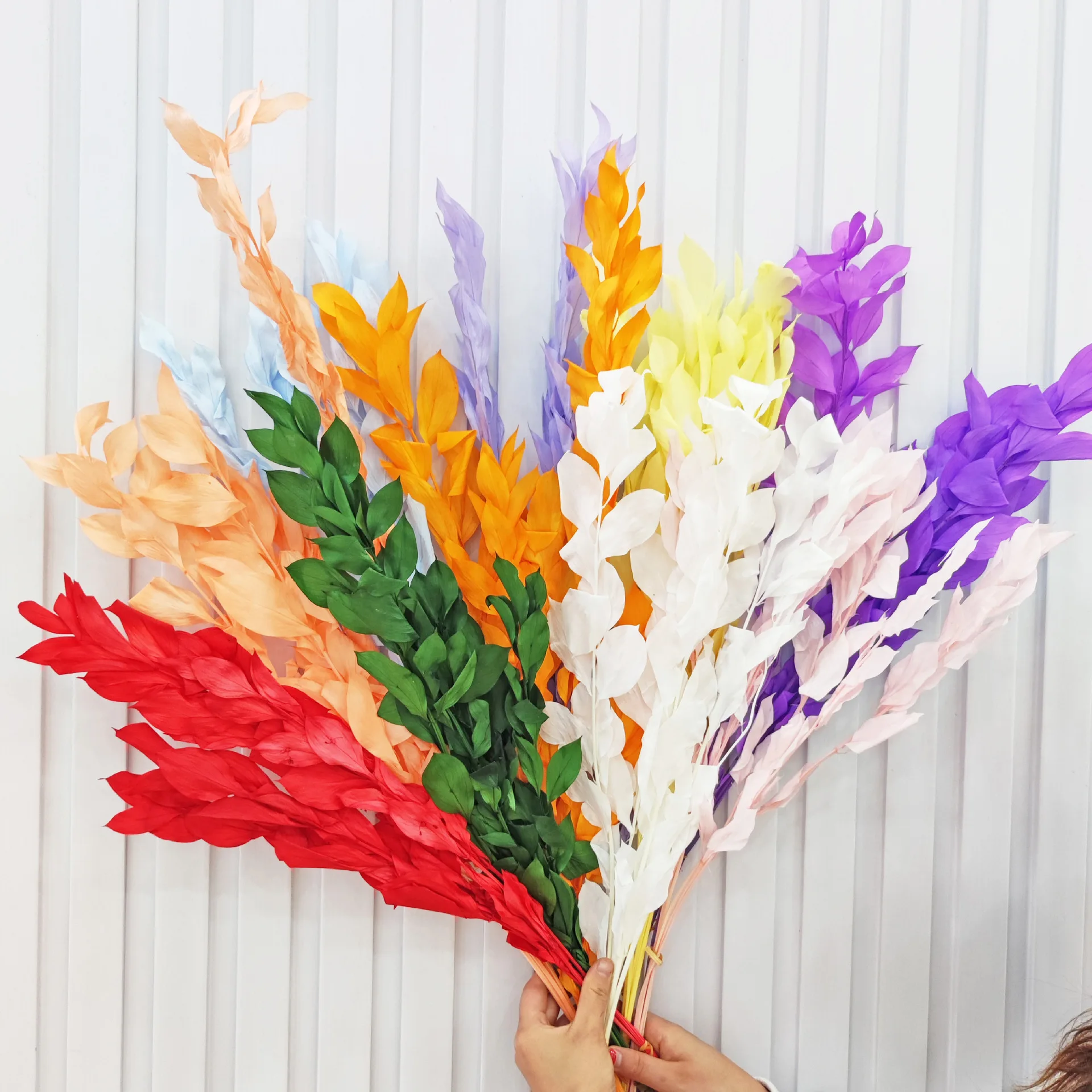 5PCS Natural Dried Flowers Preserved Lily Bamboo Flowers Bouquet Wedding Orange Leaves Arrangement Decorations Boho Home Decor
5PCS Natural Dried Flowers Preserved Lily Bamboo Flowers Bouquet Wedding Orange Leaves Arrangement Decorations Boho Home Decor