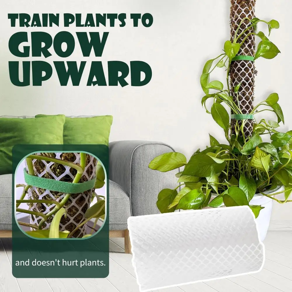 Adjustable Plant Climbing Pole Rust-resistant Diy Plastic Moss Pole Kit Strong Structure Easy-to-cut for Monstera for Climbing
Adjustable Plant Climbing Pole Rust-resistant Diy Plastic Moss Pole Kit Strong Structure Easy-to-cut for Monstera for Climbing