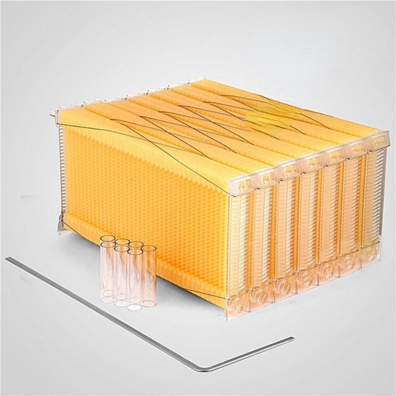 Beekeeping Tools Honey Products Flow Frames Apis Mellifera Special Food Grade Plastic Self-Flow Honeycomb
Beekeeping Tools Honey Products Flow Frames Apis Mellifera Special Food Grade Plastic Self-Flow Honeycomb