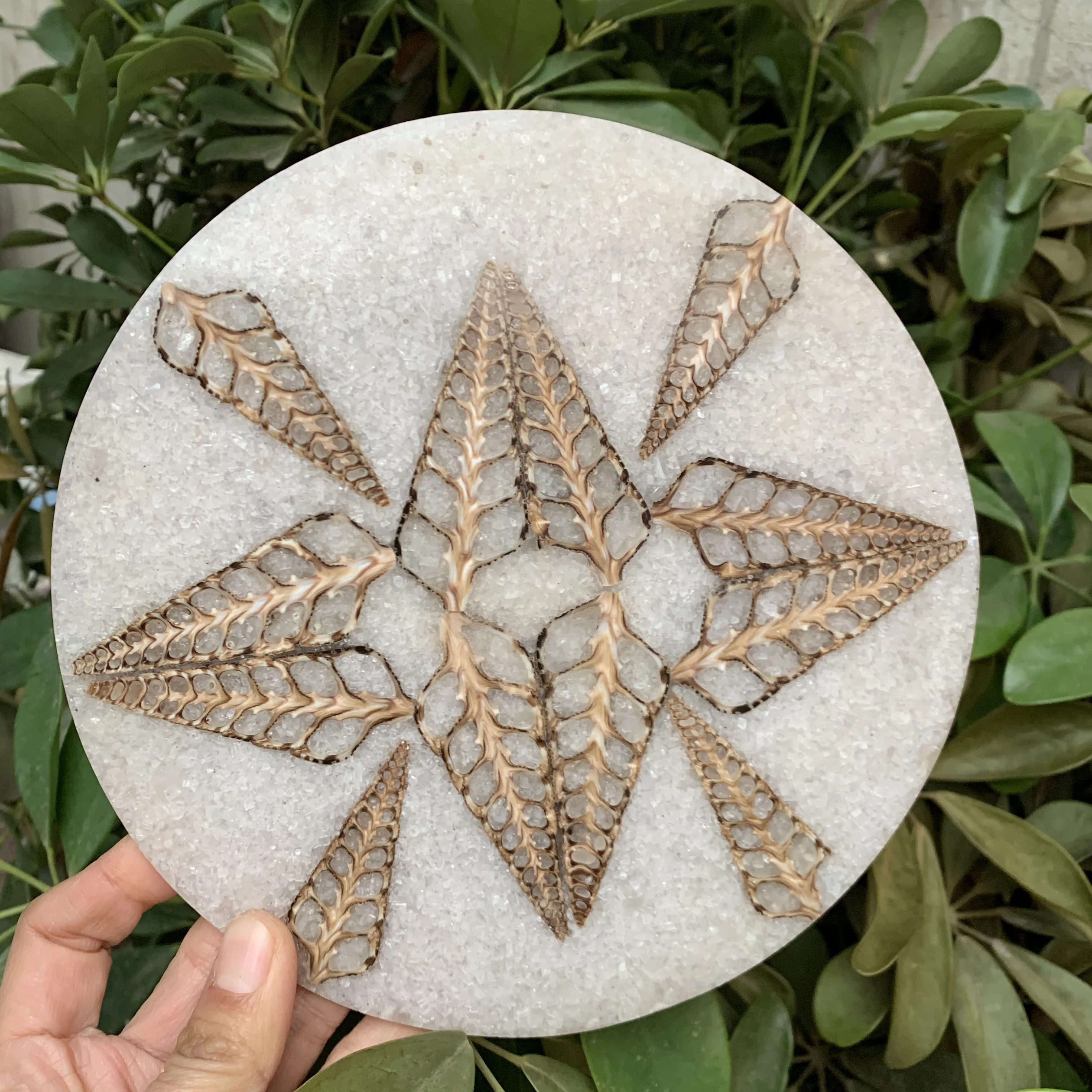 

18cm Disc with different patterns from Madagascar