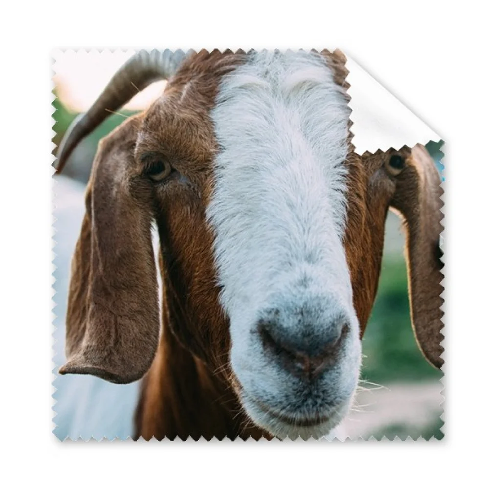 m Sheep Animal Photography Cleaning Cloth Phone Screen Glasses Cleaner 5pcs 
m Sheep Animal Photography Cleaning Cloth Phone Screen Glasses Cleaner 5pcs