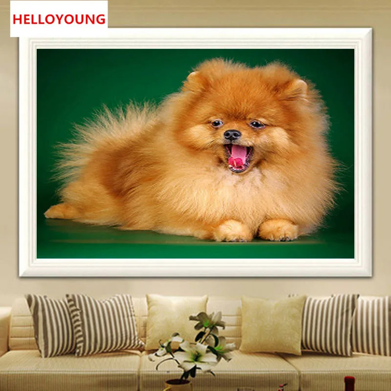 YGS-586 DIY 5D Partial Diamond Embroidery The Cute Dog Round Diamond Painting Cross Stitch Kits Diamond Mosaic Home Decoration
YGS-586 DIY 5D Partial Diamond Embroidery The Cute Dog Round Diamond Painting Cross Stitch Kits Diamond Mosaic Home Decoration