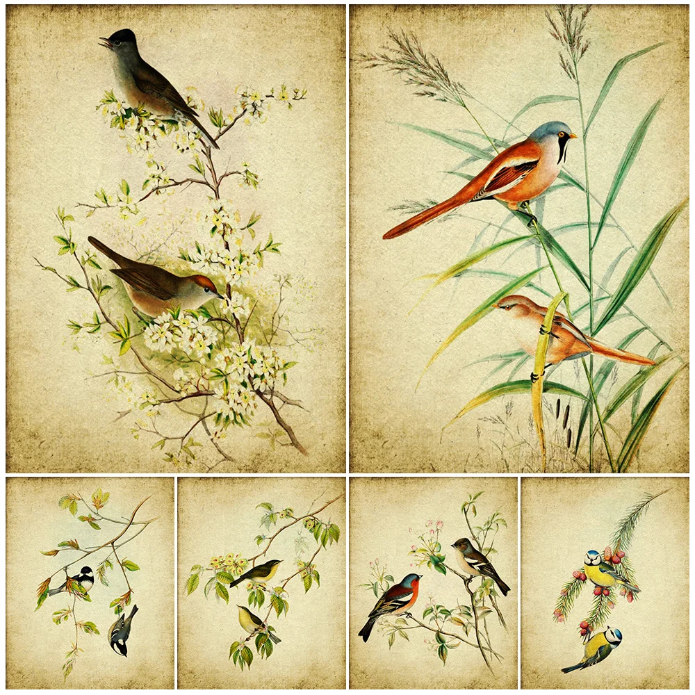 Bearded Tit Bird,Chaffinch Bird,Chiffchaff Bird,Crested Tit Bird,Vintage Wall Art Print,Rustic Garden Bird Art Poster And Print
Bearded Tit Bird,Chaffinch Bird,Chiffchaff Bird,Crested Tit Bird,Vintage Wall Art Print,Rustic Garden Bird Art Poster And Print