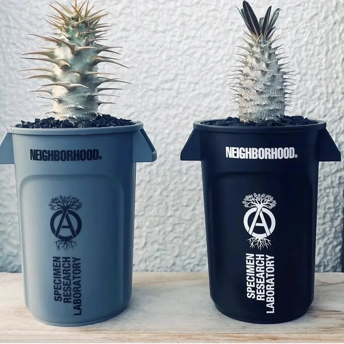 

Neighborhood Thor Srl Co Japanese mini trash can small penholder block root planter