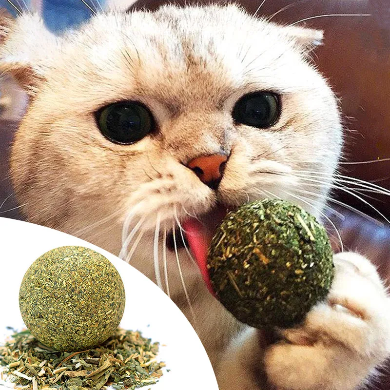 Catnip Cat Rotatable Catnip Wall Ball Toys Licking Snacks Healthy Nutrition Ball Teeth Cleaning Catnip Toy Pet Supplies
Catnip Cat Rotatable Catnip Wall Ball Toys Licking Snacks Healthy Nutrition Ball Teeth Cleaning Catnip Toy Pet Supplies