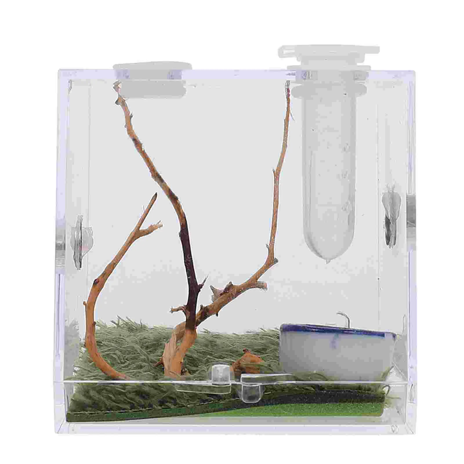 Spider Terrarium Acrylic Reptile Breeding Box Jumping Spider Enclosure Dropper Tongs Tarantula Scorpion Sling
Spider Terrarium Acrylic Reptile Breeding Box Jumping Spider Enclosure Dropper Tongs Tarantula Scorpion Sling