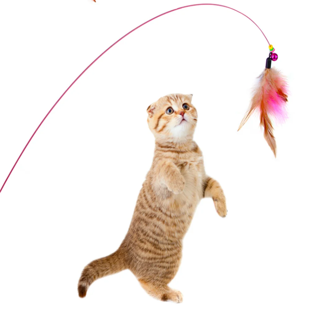Cat Teaser Stick Elastic Curved Steel Wire Feather Replacement Head Kitten Bouncing Training Interactive Rod Toys Pet Supplies
Cat Teaser Stick Elastic Curved Steel Wire Feather Replacement Head Kitten Bouncing Training Interactive Rod Toys Pet Supplies