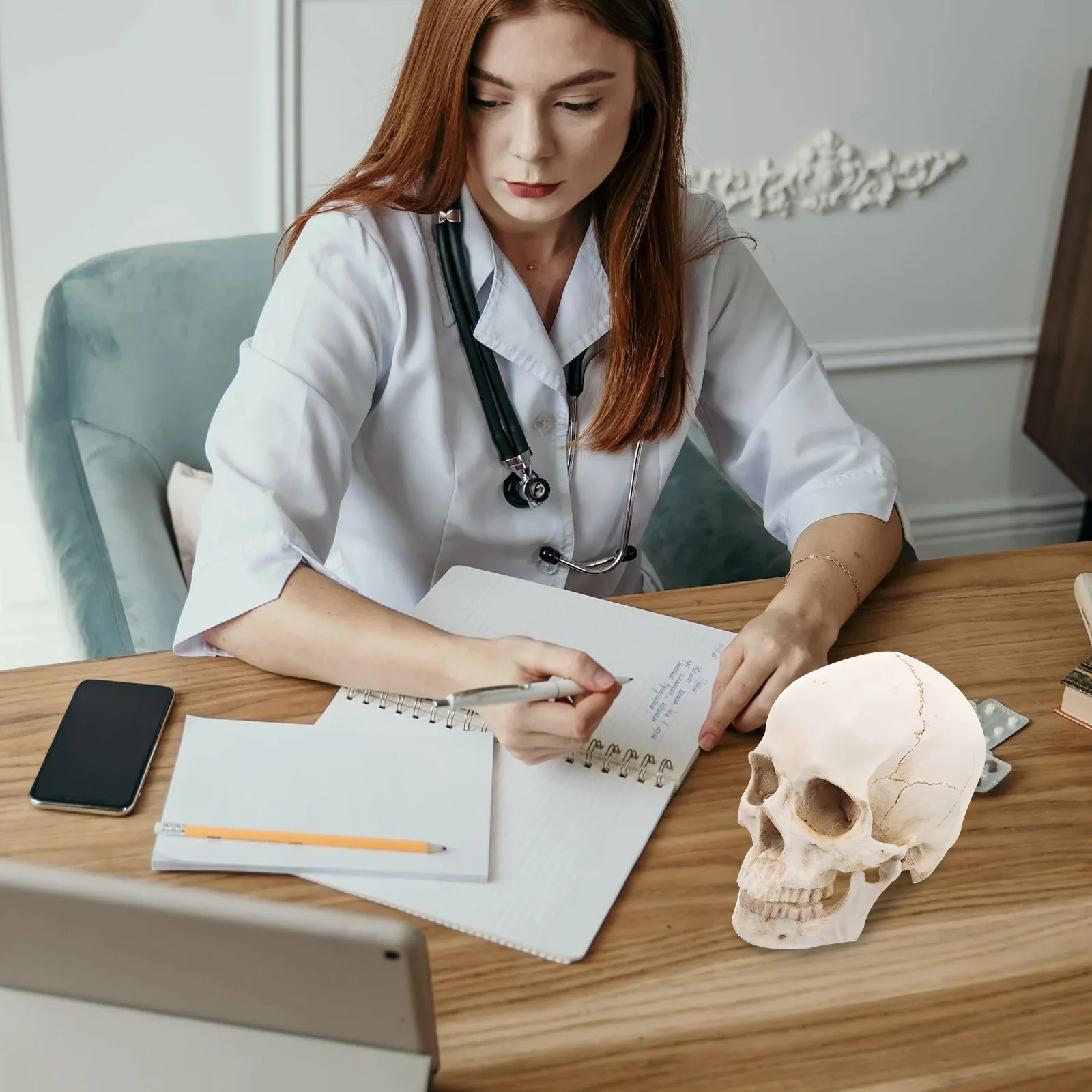 Other Supplies Conjoined Resin Skull Lifelike Human Model Head Decoration Statue for Teaching
Other Supplies Conjoined Resin Skull Lifelike Human Model Head Decoration Statue for Teaching