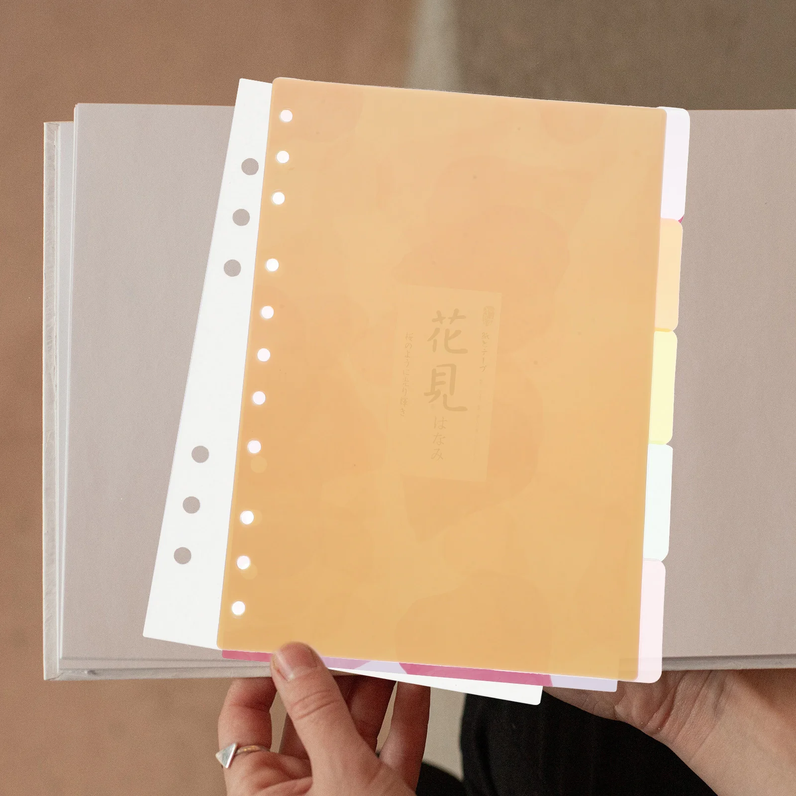 5 Sheets Classification Divider Board Book Binder Dividers Plastic Tabs File Folder Labels School Page Office Notepad
5 Sheets Classification Divider Board Book Binder Dividers Plastic Tabs File Folder Labels School Page Office Notepad