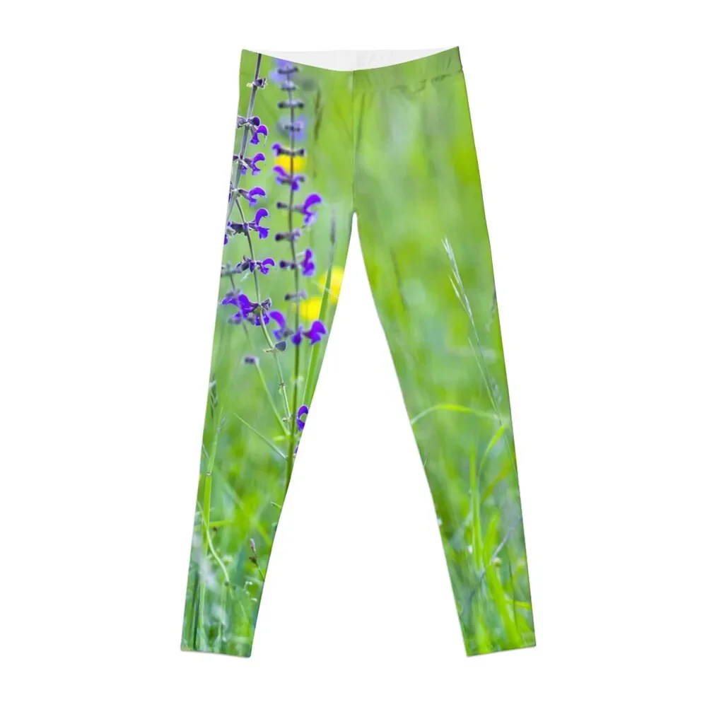 Serene Summer Meadow with Wild Flowers and Grasses Leggings sportswear gym Jogger pants Womens Leggings
Serene Summer Meadow with Wild Flowers and Grasses Leggings sportswear gym Jogger pants Womens Leggings
