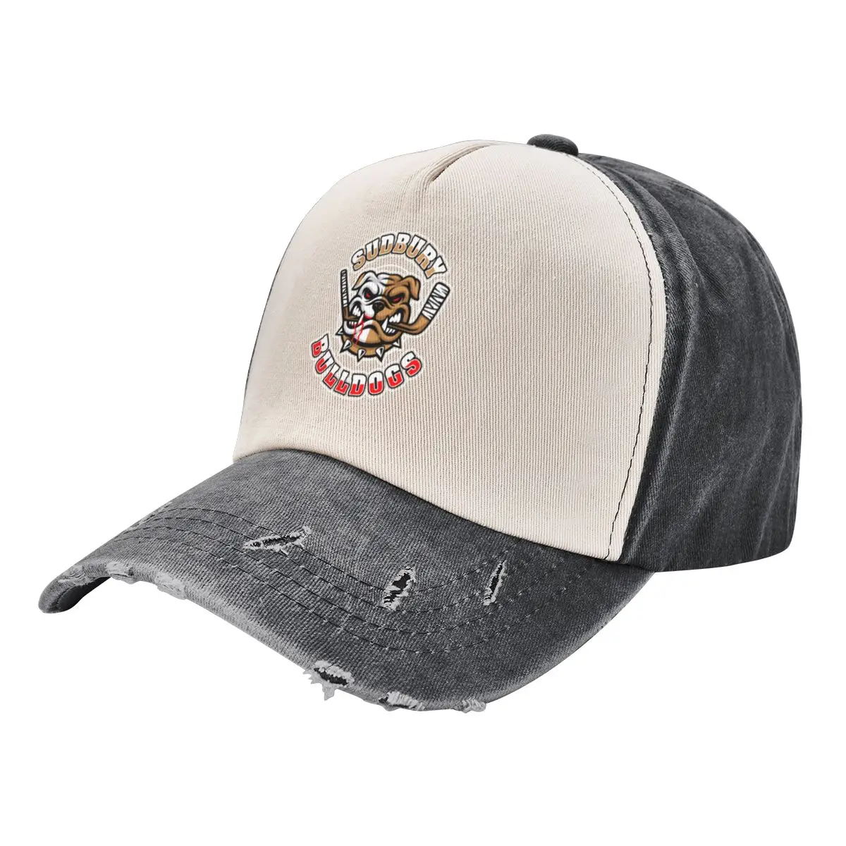 

Vintage SHORESY Sudbury Blueberry Bulldogs Baseball Cap Hat Man Luxury Sunscreen Golf Wear Men Women's