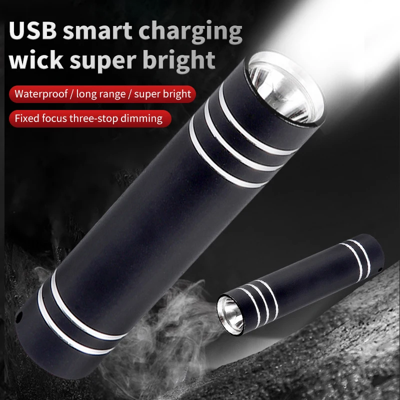 Mini LED Flashlight USB Type-C Rechargeable Torch Waterproof Pocket Hand Light Built-in Battery Lamp Self-defense Samll Lantern
Mini LED Flashlight USB Type-C Rechargeable Torch Waterproof Pocket Hand Light Built-in Battery Lamp Self-defense Samll Lantern
