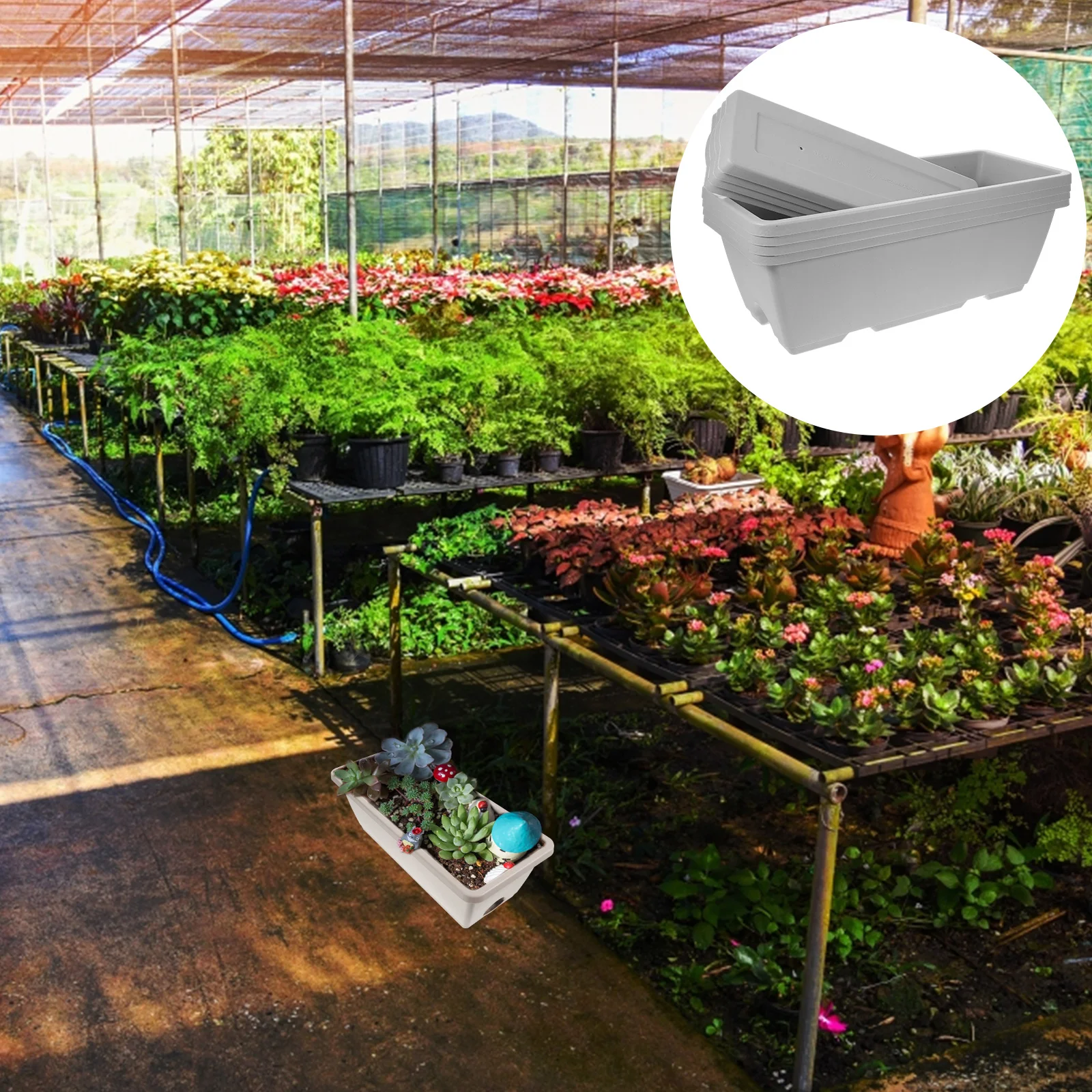 4 Sets Household Window Frame Pot Flower Plant Nursery Accessory Extra Large Pots Resin
4 Sets Household Window Frame Pot Flower Plant Nursery Accessory Extra Large Pots Resin