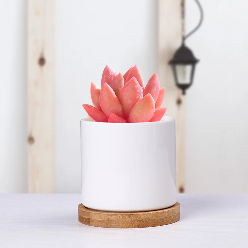 Simple White Ceramic Succulent Flower Pot Creative Living Room Office Circular Cactus Green Plant Small Flower Pots Wholesale
Simple White Ceramic Succulent Flower Pot Creative Living Room Office Circular Cactus Green Plant Small Flower Pots Wholesale