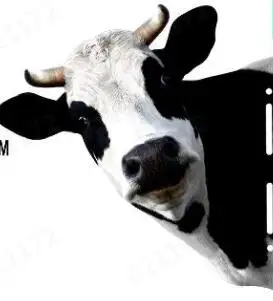 Artistic Cow Head Home Decor: Metal Wall Sculpture For Indoor/Outdoor Garden Display Penguin Swing Car Ornament
Artistic Cow Head Home Decor: Metal Wall Sculpture For Indoor/Outdoor Garden Display Penguin Swing Car Ornament