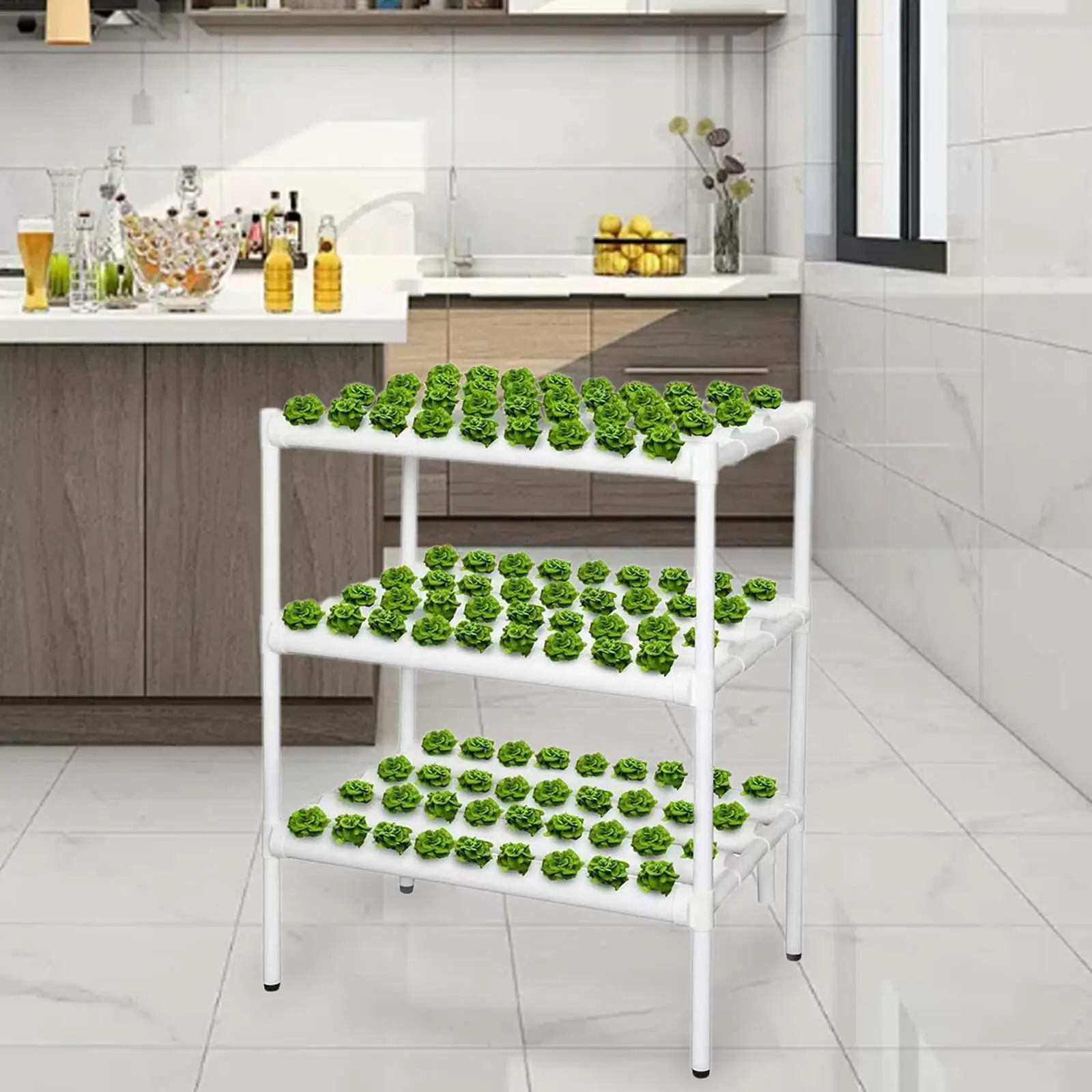 Hydroponic Grow Kit for Leafy Vegetables Lettuce Beet Canola Garden Planter Efficient Irrigation Nest Basket 108 Plant Sites
Hydroponic Grow Kit for Leafy Vegetables Lettuce Beet Canola Garden Planter Efficient Irrigation Nest Basket 108 Plant Sites
