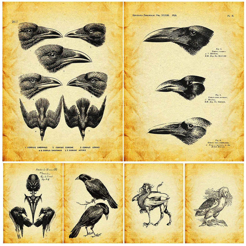 Creepy Skeletons And Mythical Creatures Vintage Wall Art Canvas Painting Snake Bat Frog Vulture Gothic Art Poster Print Decor
Creepy Skeletons And Mythical Creatures Vintage Wall Art Canvas Painting Snake Bat Frog Vulture Gothic Art Poster Print Decor