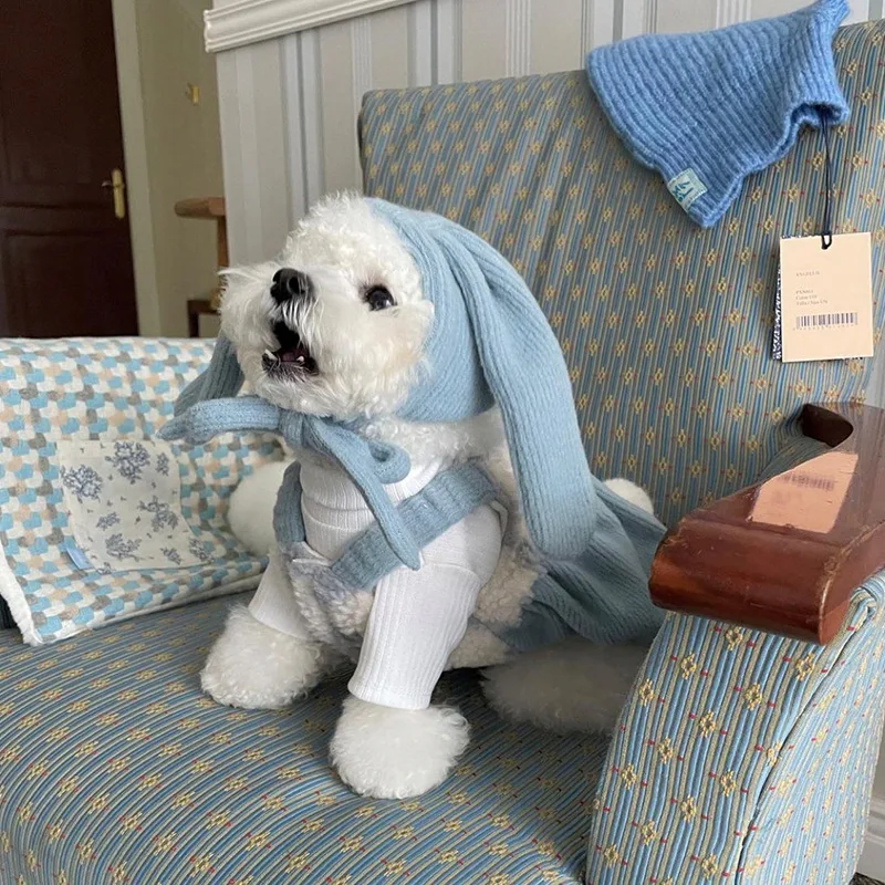Cute And Sweet Winter Outfits For Dogs Cute And Sweet Winter Outfits For Dogs