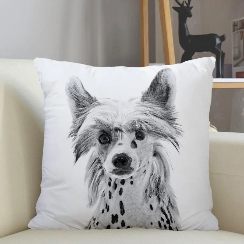 Home Decoration Zipper Square Pillowcase Throw Pillowcase Customizable Chinese Pattern Pillowcase
Home Decoration Zipper Square Pillowcase Throw Pillowcase Customizable Chinese Pattern Pillowcase