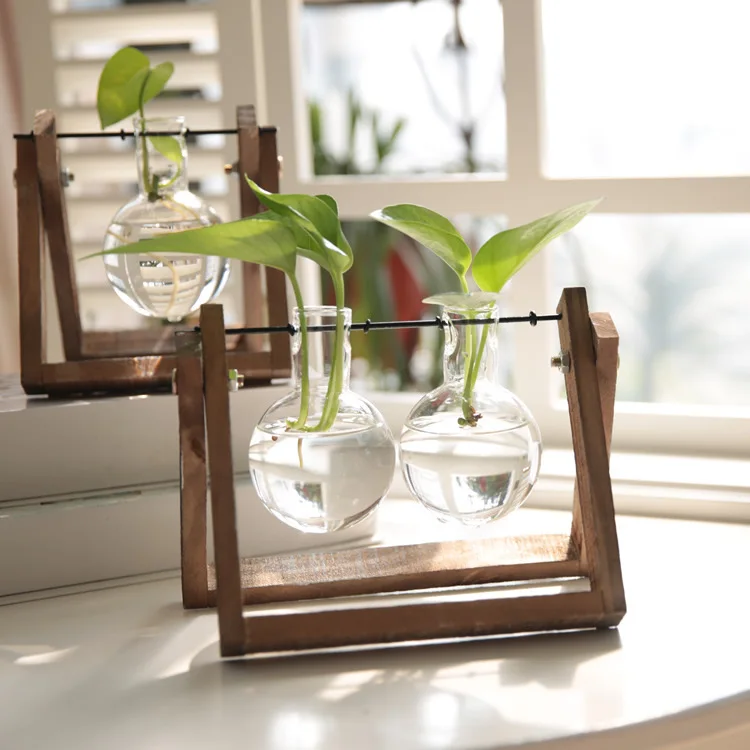 Creative Hydroponic Plants Transparent Wooden Frame Vase Desktop Small Fresh Container Living Room Modern Decoration Ornaments
Creative Hydroponic Plants Transparent Wooden Frame Vase Desktop Small Fresh Container Living Room Modern Decoration Ornaments