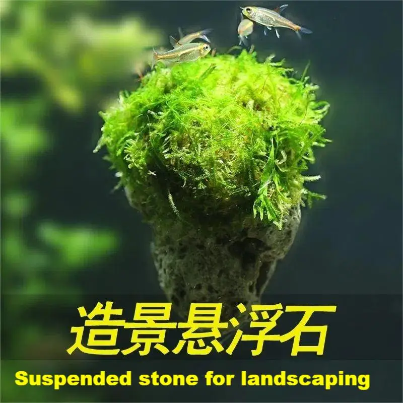 Aquarium Landscape Pumice Water Grass Tank Decorated Pumice Avatar Suspended Stone Mose Pumice Aquarium Landscape Stone
Aquarium Landscape Pumice Water Grass Tank Decorated Pumice Avatar Suspended Stone Mose Pumice Aquarium Landscape Stone