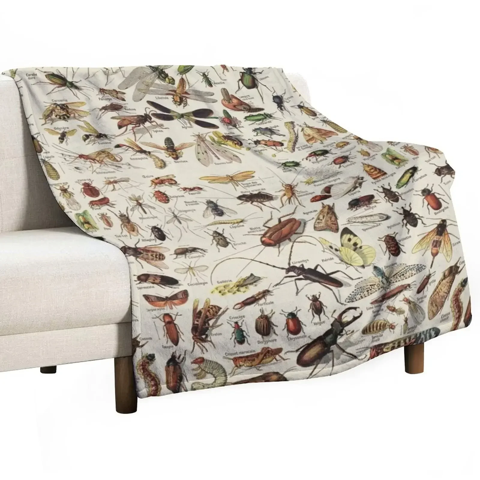 

Таблица насекомых. Научная иллюстрация, текст на французском языке, фланелевое одеяло, движущееся для дивана, тонкое индивидуализированное искусственное одеяло