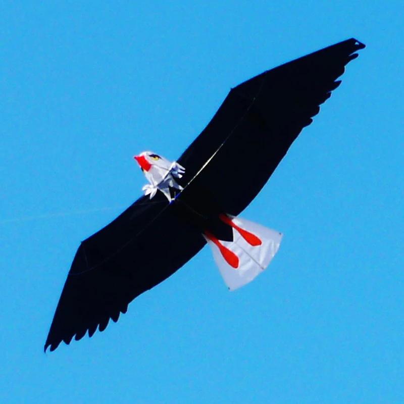 free shipping white eagle kite handle line kites kids flying toys windsocks bird kites inflatable toys parachute professional
free shipping white eagle kite handle line kites kids flying toys windsocks bird kites inflatable toys parachute professional