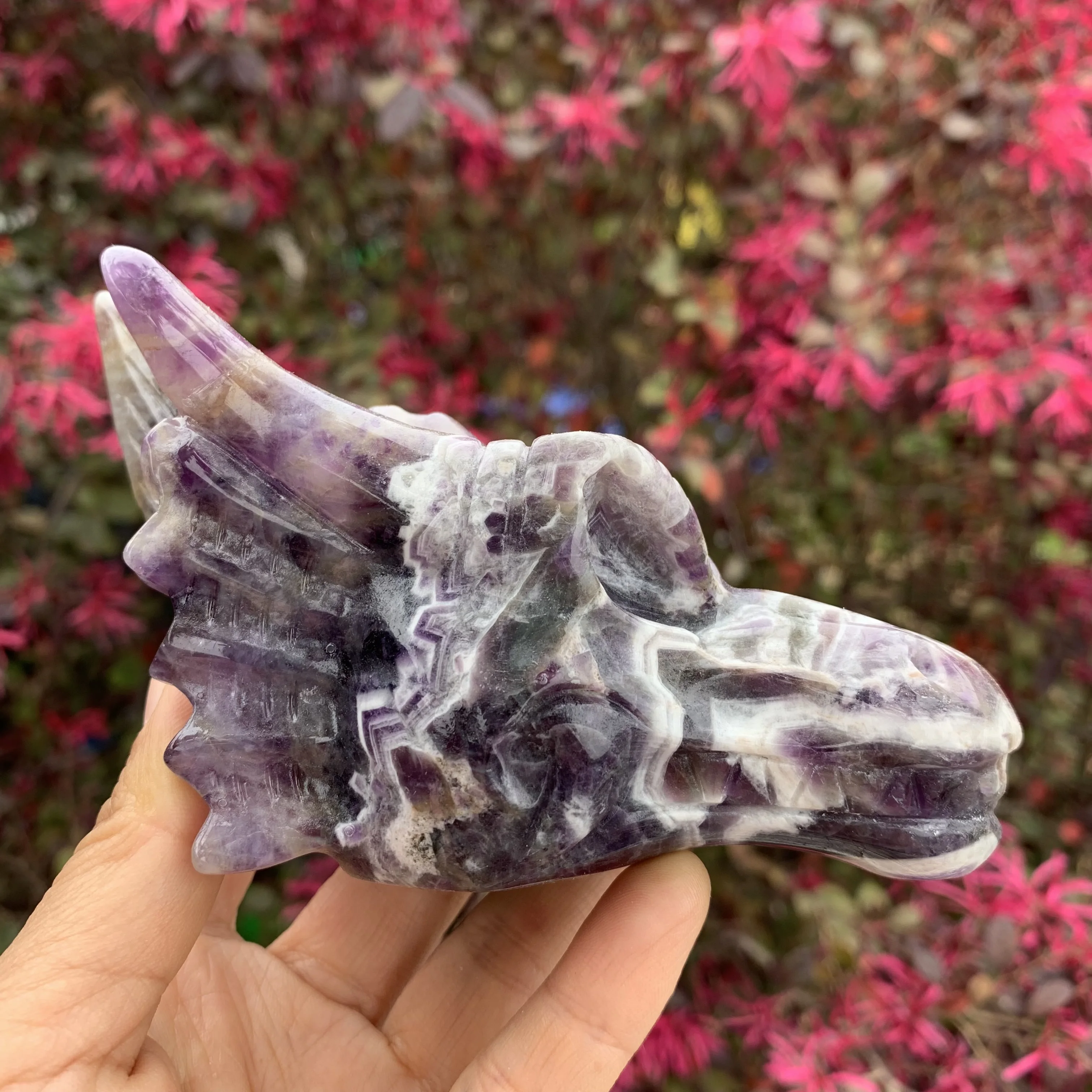 Dragon Skull Head Statue Natural Dream Amethyst carved Dragon Figurine Collectible
Dragon Skull Head Statue Natural Dream Amethyst carved Dragon Figurine Collectible