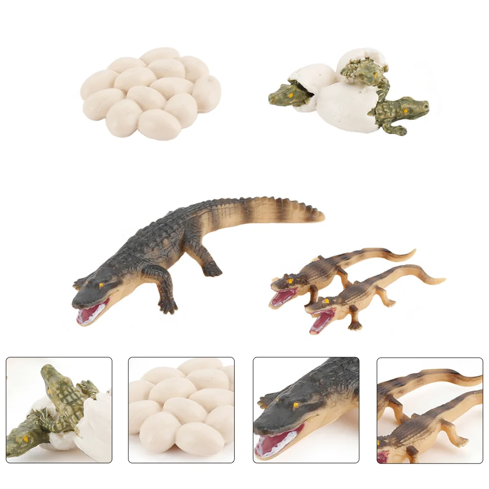 Toy Crocodile Growth Cycle Educational Model Artificial Growing Plaything Plastic Child
Toy Crocodile Growth Cycle Educational Model Artificial Growing Plaything Plastic Child