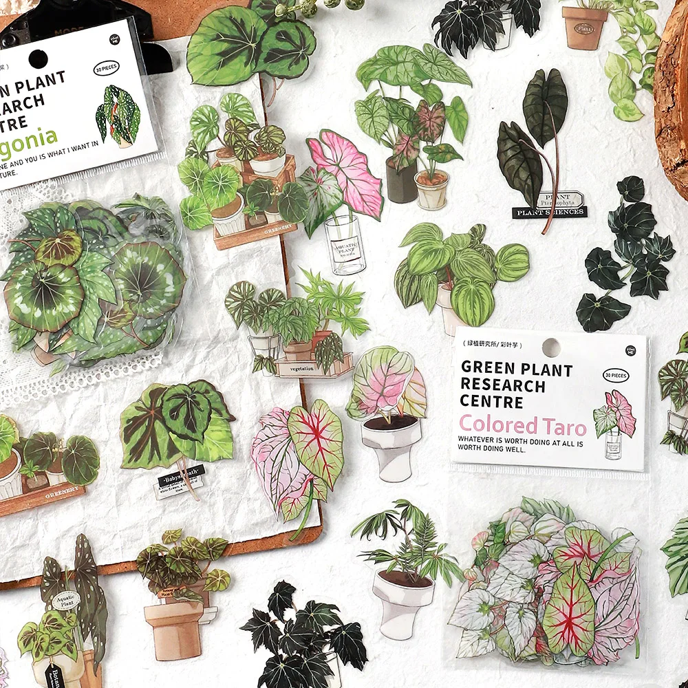 8packs/LOT Green Plant Research Institute series retro creative decoration DIY PET stickers
8packs/LOT Green Plant Research Institute series retro creative decoration DIY PET stickers