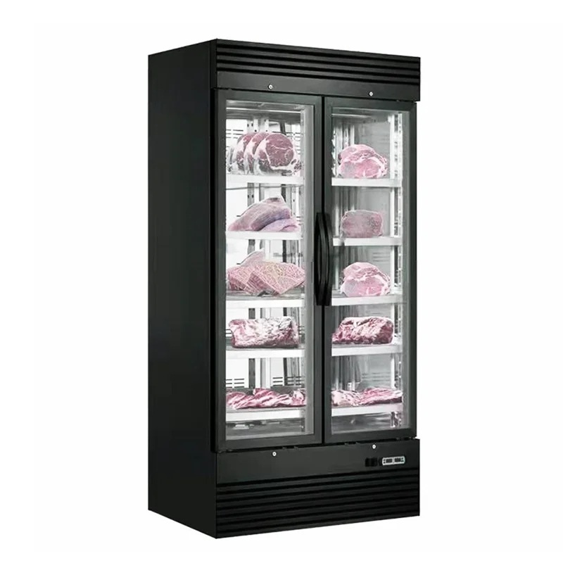 

Single Door Strong Air Purification Meat Dry Ager Dry Aging Refrigerator Cabinet Aged Beef Fridge Display