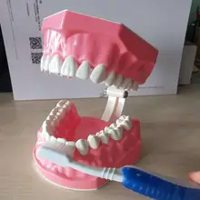 1 Pc Teeth Model Dental Teaching Demonstration Tool Tooth Brushing Teaching Model for Home Kindergarten (Pink)
1 Pc Teeth Model Dental Teaching Demonstration Tool Tooth Brushing Teaching Model for Home Kindergarten (Pink)