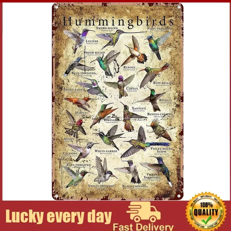 Types Of Hummingbird Metal Signs Retro Room Decor Bird Lovers Posters Club Farm Home Wall Decor Printed Plaque wall decor
Types Of Hummingbird Metal Signs Retro Room Decor Bird Lovers Posters Club Farm Home Wall Decor Printed Plaque wall decor