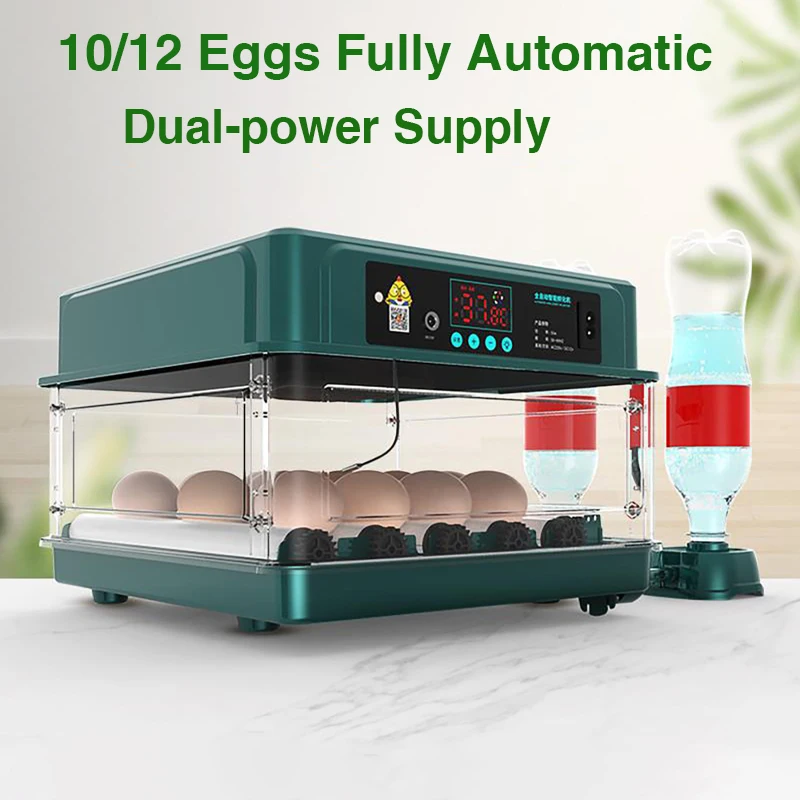 220V 10/12 Eggs Incubator Fully Automatic Turning Hatching Brooder Farm Bird Quail Chicken Poultry Farm Hatcher Turner
220V 10/12 Eggs Incubator Fully Automatic Turning Hatching Brooder Farm Bird Quail Chicken Poultry Farm Hatcher Turner