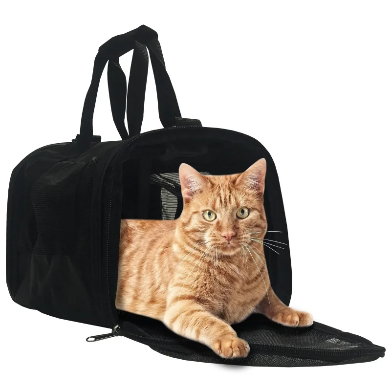 Переноска для домашних животных World Pet Carrier, подходит для кошек и мелких пород, черный, 15 дюймов, Д x 8 дюймов, в x 12 дюймов
Переноска для домашних животных World Pet Carrier, подходит для кошек и мелких пород, черный, 15 дюймов, Д x 8 дюймов, в x 12 дюймов