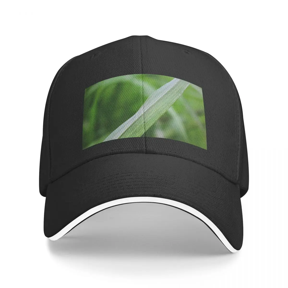 Blade of grass leaf Baseball Cap Beach Bag Gentleman Hat Hat Man For The Sun Girl'S Hats Men's
Blade of grass leaf Baseball Cap Beach Bag Gentleman Hat Hat Man For The Sun Girl'S Hats Men's