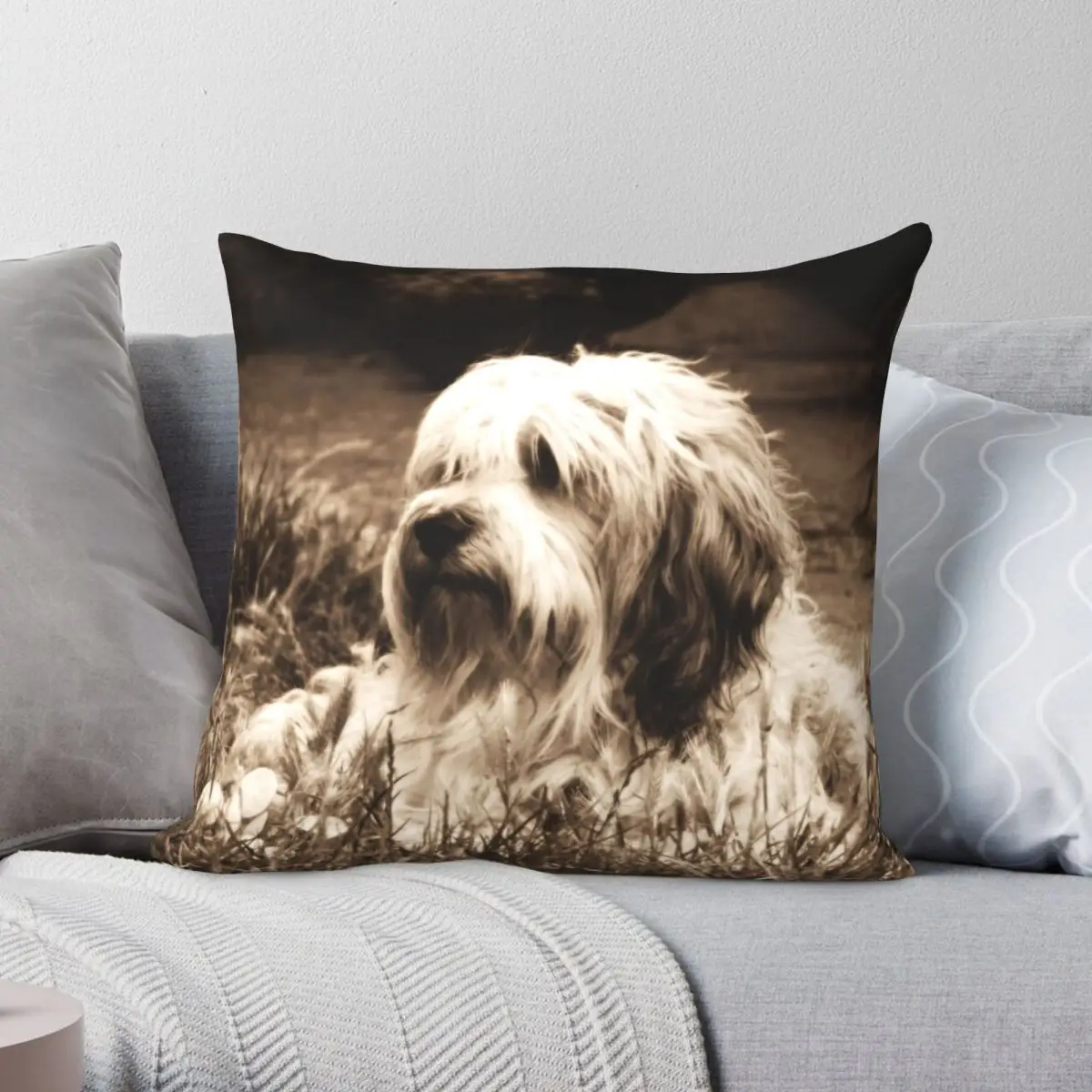 Tibetan Terrier 2 Square Pillowcase Polyester Linen Velvet Pattern Zip Decor Throw Pillow Case Sofa Cushion Cover Wholesale
Tibetan Terrier 2 Square Pillowcase Polyester Linen Velvet Pattern Zip Decor Throw Pillow Case Sofa Cushion Cover Wholesale