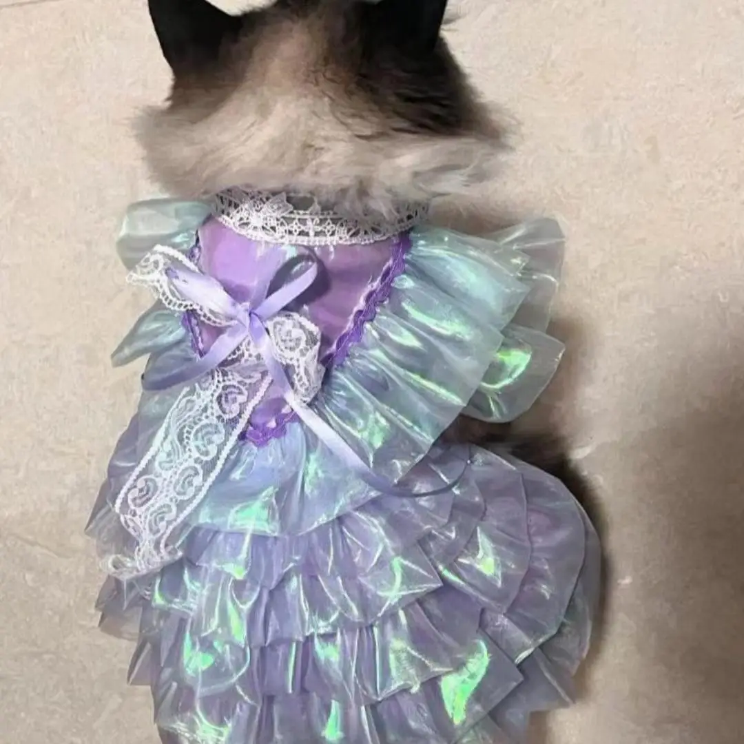 

Sparkling Purple Dress for Pets, Mesh Skirt for Kitten, Puppy, Teddy, Chihuahua, Cat, Dog Clothes, All Seasons